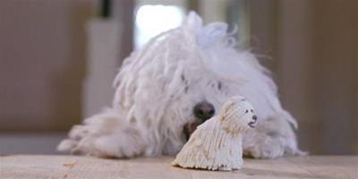 臉書CEO馬克·紮克伯格為愛犬3D列印塑像做生日