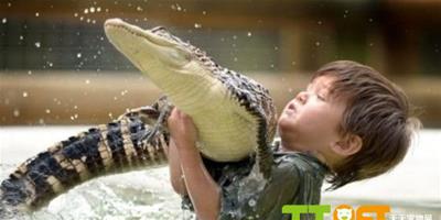 三歲寶寶勇鬥鱷魚
