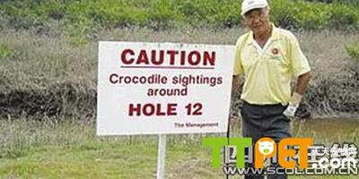 鱷魚出沒高爾夫球場 77歲老人被咬已截肢