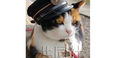 日本貓站長榮升公司董事