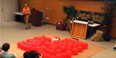 狗界世界紀錄 39秒爆破百顆氣球