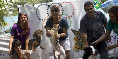 巴西首屆狗狗奧運會 米格魯勇奪跳水金牌