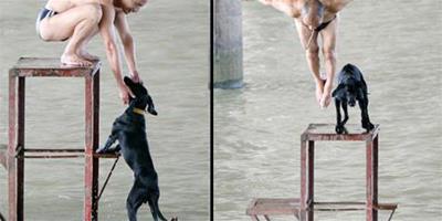 狗狗學跳水