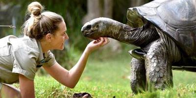 澳洲百歲龜壽星：晚年生活細心呵護