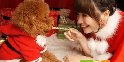 金莎紅色華服攜愛狗出鏡慶聖誕