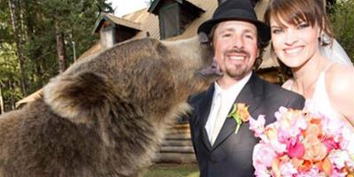 美國男子婚禮請八百磅灰熊做伴郎