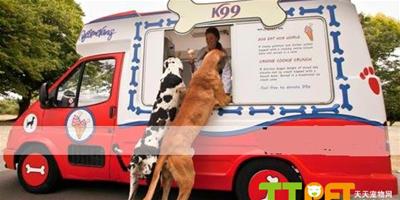 英國狗狗竟然有專屬冰淇淋車