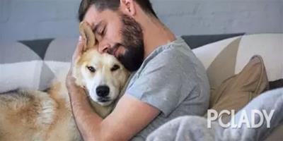 狗狗的要求不多只是需要每天一個擁抱，今天你抱了嗎？