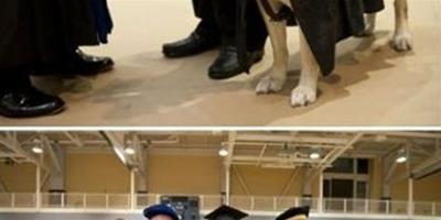 美國狗狗陪主人讀書被授予碩士學位