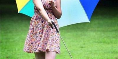 迷你時尚雨傘，專為狗狗擋風遮雨