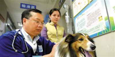 寵物按時注射疫苗有助健康