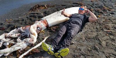 深海巨魷被沖上紐西蘭海灘：兇手是誰？