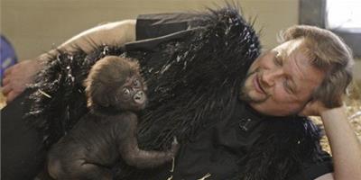 美國動物管理員扮媽媽照顧小猩猩