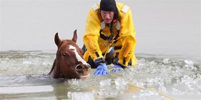 美國消防員電鋸破冰救助被困小馬