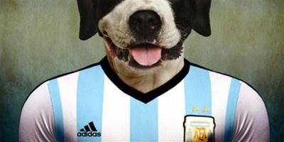比利時攝影師拍足球狗狗，演繹狗狗世界盃
