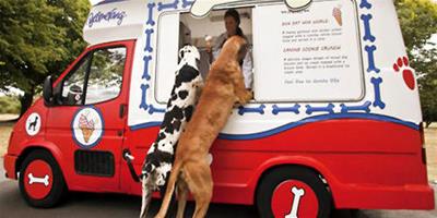 夏天又要到了，狗狗能吃霜淇淋麼？