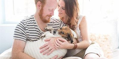 美國夫婦與愛犬拍攝溫馨“親子照”顯愛意