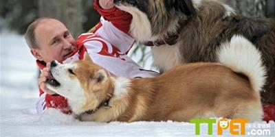 普京與寵物狗雪地玩耍
