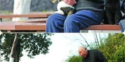 80歲老人堅持13年照顧流浪貓