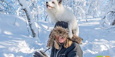 挪威的極地公園與動物們親密接觸