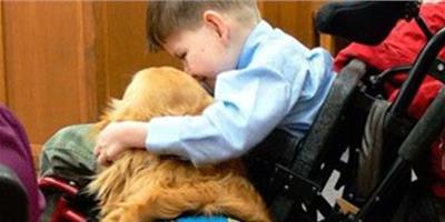 服務犬：對人類奉獻無聲的愛