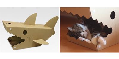 貓咪專屬鯊魚屋