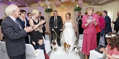 愛爾蘭情侶結婚請狗狗們做伴娘