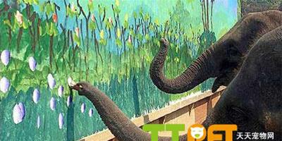 大象作畫打破吉尼斯世界紀錄