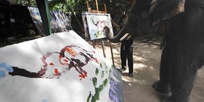 泰國大象畫“自畫像”堪稱“大象界的畢卡索”