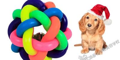 狗狗最喜歡的三種玩具