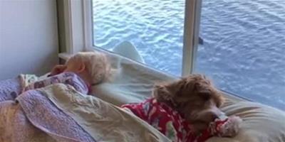 美國小萌娃和寵物狗一起起床的視頻萌化眾網友