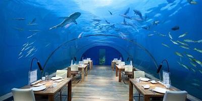馬爾地夫的海底餐廳，邊用餐邊欣賞海底世界
