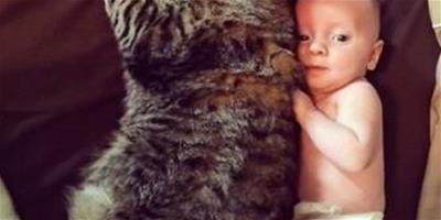 寵物與孩子兼得：新生小弟弟愛上巨貓