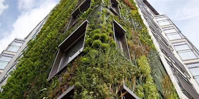 法國植物學家建造出令人驚歎的空中垂直花園