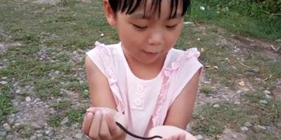 縉雲5歲女孩拿蛇當寵物 刷新“女漢子”年齡下限