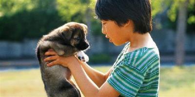 家有寵物可增強孩子抗過敏能力