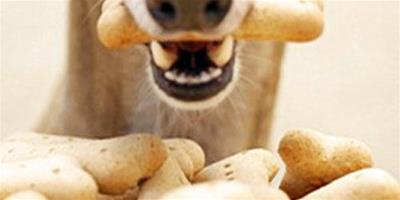狗零食和人零食要注意區分