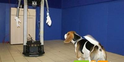 研究表明：狗狗會對給其餵食的機器人表示忠誠