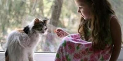 【方法】孩子和貓咪怎麼友好相處？