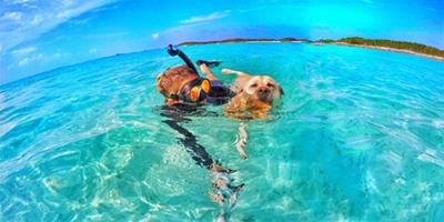 美女巴哈馬群島與寵物同遊親密自拍