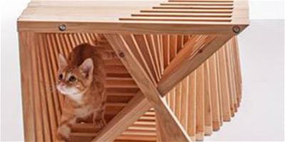 六款貓咪超愛玩的創意小屋 為你的貓咪置辦起來