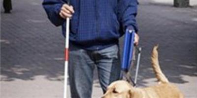 導盲犬“魯卡斯”讓主人的生活變得正常