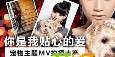 朱樺發起關愛寵物行動 舉辦寵物MV自拍大賽