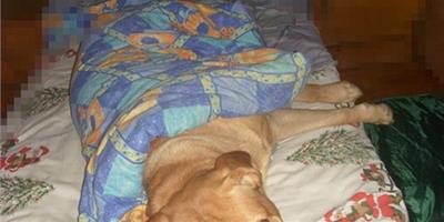養大狗的傷不起：你是打算讓主人睡哪兒？