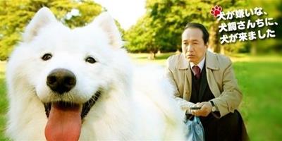 你一定不能錯過的五部日本狗狗電影