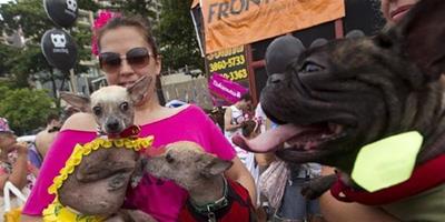 寵物犬狂歡節在巴西里約熱內盧拉開帷幕