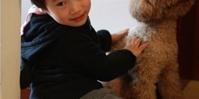 寵物與孩子兼得：讓孩子一起參與照顧狗狗