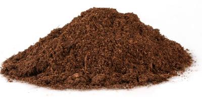 多肉植物泥炭土使用