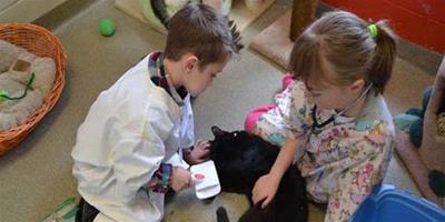 有愛：小小獸醫體驗，讓孩子更懂得愛