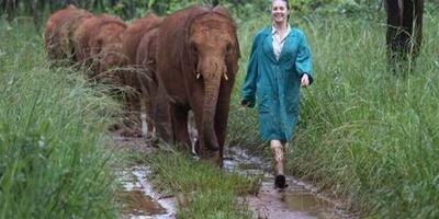 英女子非洲叢林照顧小象免受獵殺